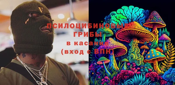 mdma Белокуриха