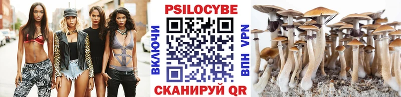 Псилоцибиновые грибы Cubensis  продажа наркотиков  Жирновск 