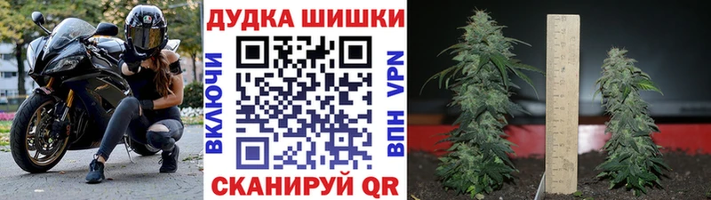 ОМГ ОМГ ONION  Жирновск  Бошки Шишки гибрид 